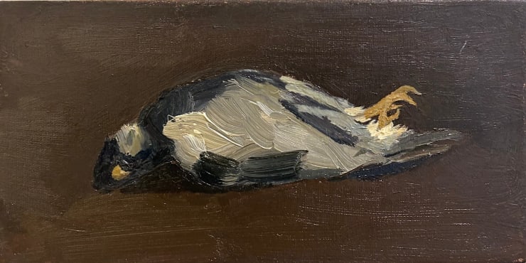 Jay Still Life, 2018 Oil on canvas 6 x 12 inches