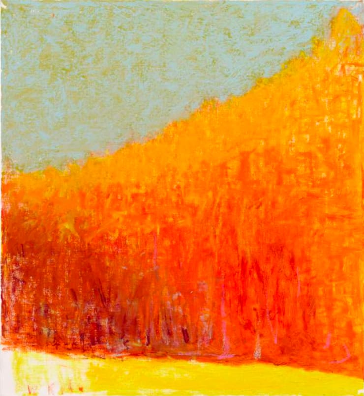 Bright Orange, 2015 Oil on canvas 26 x 24 inches