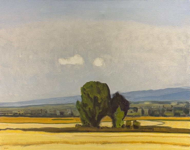 Mike Piggott, A Few Clouds and A Few Trees, 2024