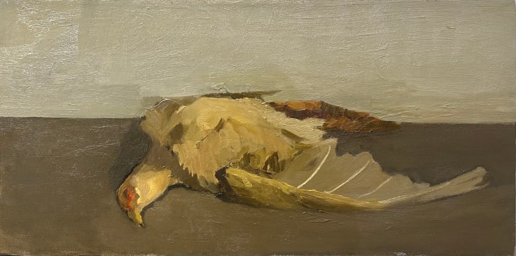 Pheasant Still Life, 2017 Oil on canvas 10 x 20 inches