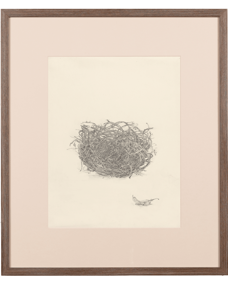 Untitled Pencil on paper 17 3/4 x 14 inches Framed dimensions 24 x 20 1/2 inches