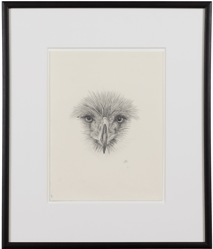 Drawing No. 5, 2021 Pencil on paper 12 x 9 inches Framed dimensions 19 3/4 x 16 3/4 inches