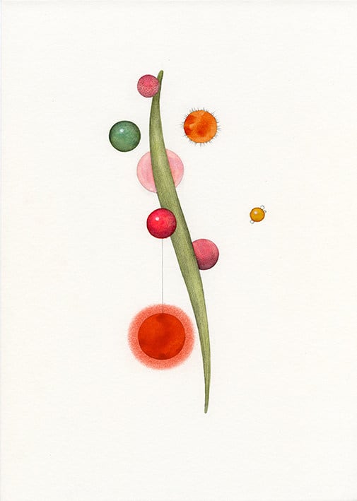 Astrid Köppe, Untitled (Z24_137), 2024