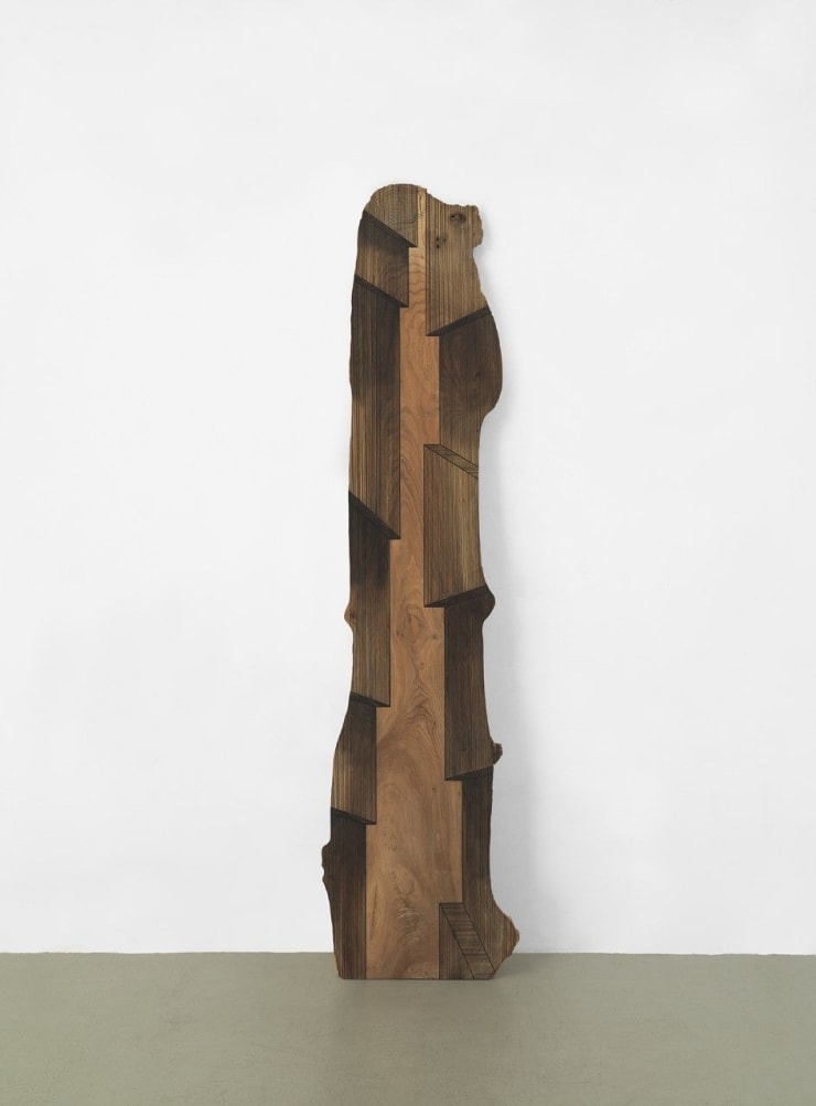 Building Space, 2017 Acrylic and Ink on Elm 98 x 29 x 1 1/2 in.