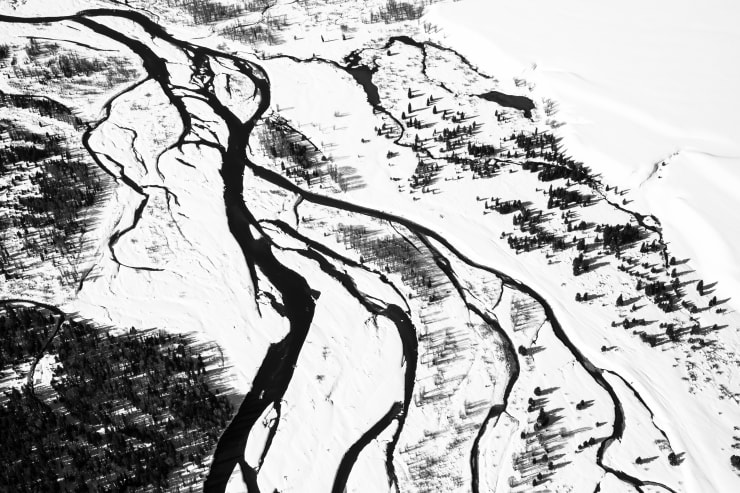 Tuck Fauntleroy, Snake River I, 2019