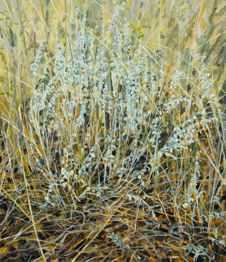 Sagebrush, 2023 Oil on canvas 30 x 26 inches