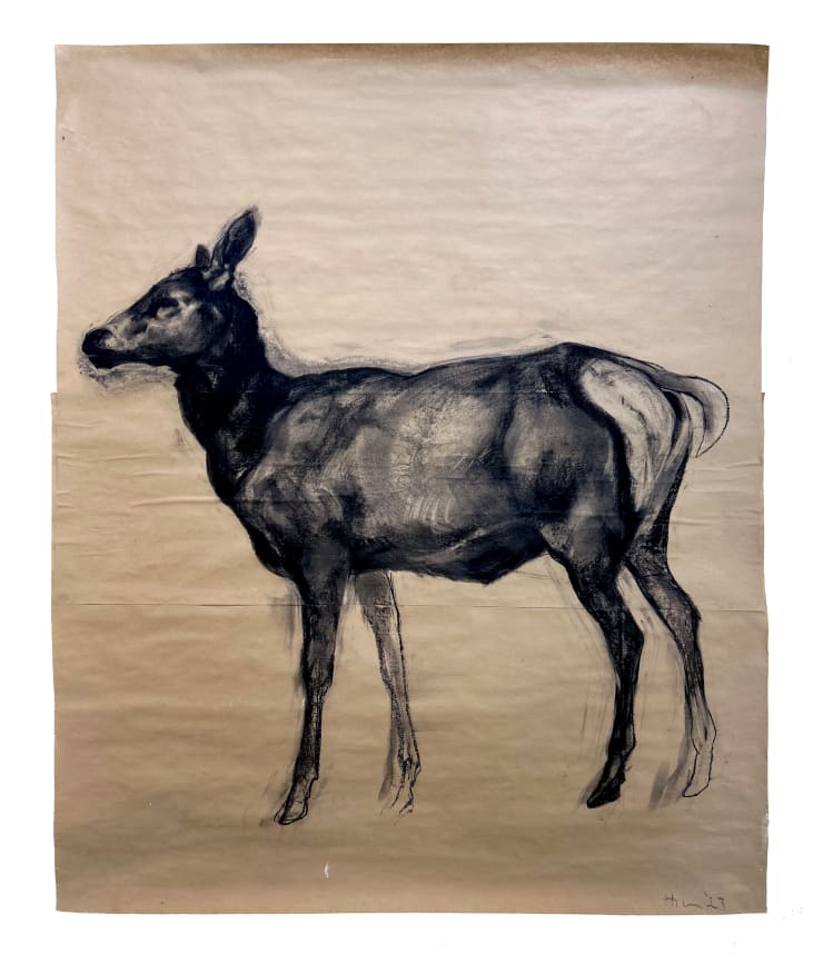 Elk, 2023 Charcoal and pastel on paper 69 x 58 1/2 inches Unframed
