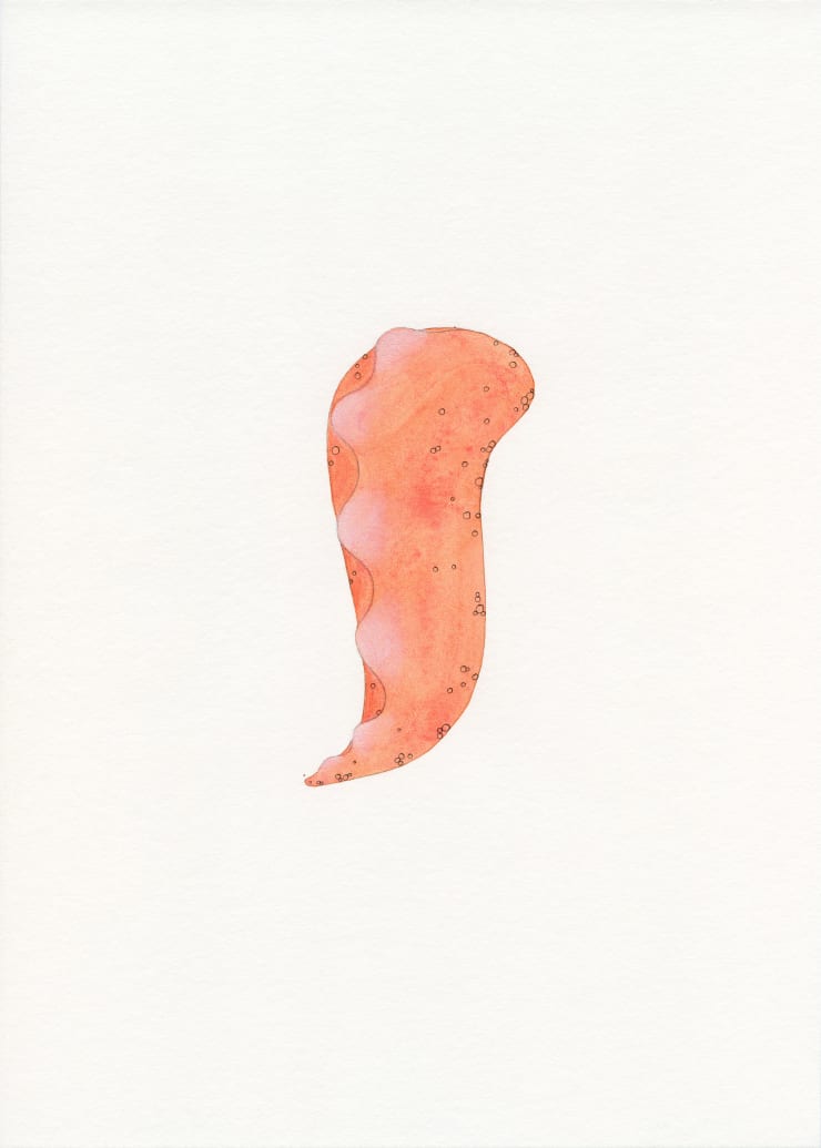 Astrid Köppe, Untitled (Z25_040), 2025