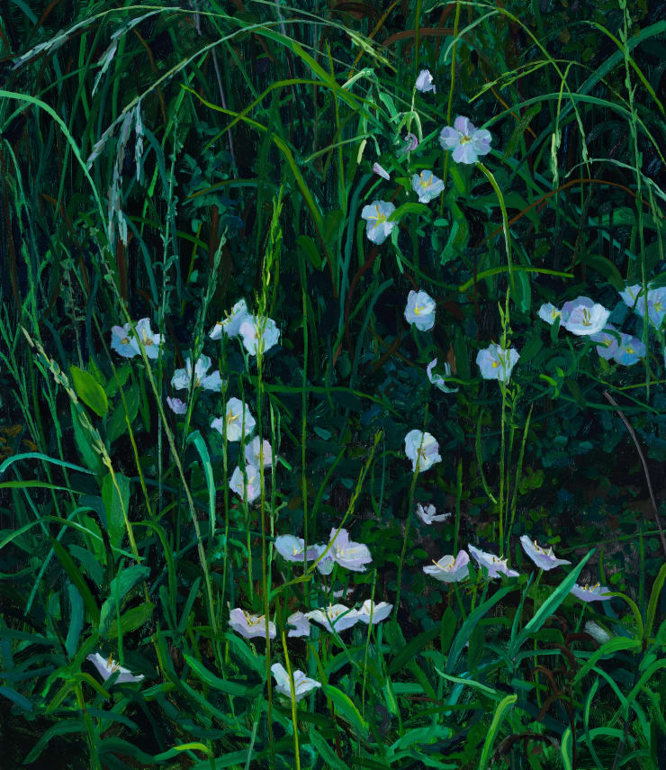 Wildflowers, 2025 Oil on canvas 30 x 26 inches
