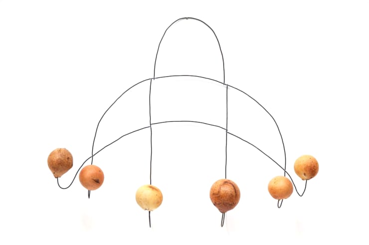 Mari Andrews, Volunteers, 2014