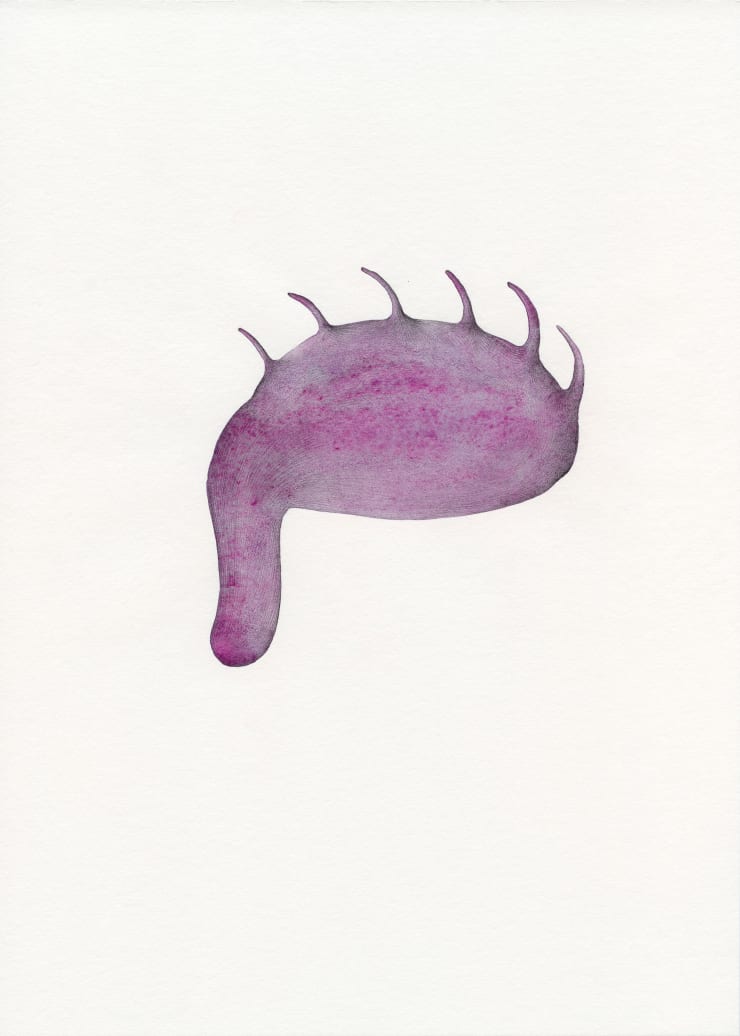 Astrid Köppe, Untitled (Z25_036), 2025