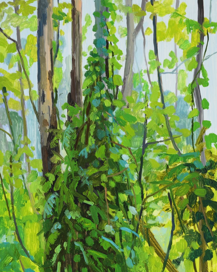 Claire Sherman, Tree and Vines, 2019