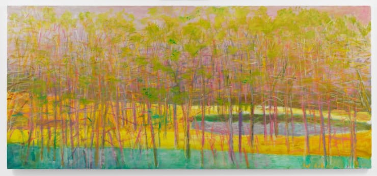 Horizontal Tangle, 2010 Oil on Canvas 36 x 80 in.