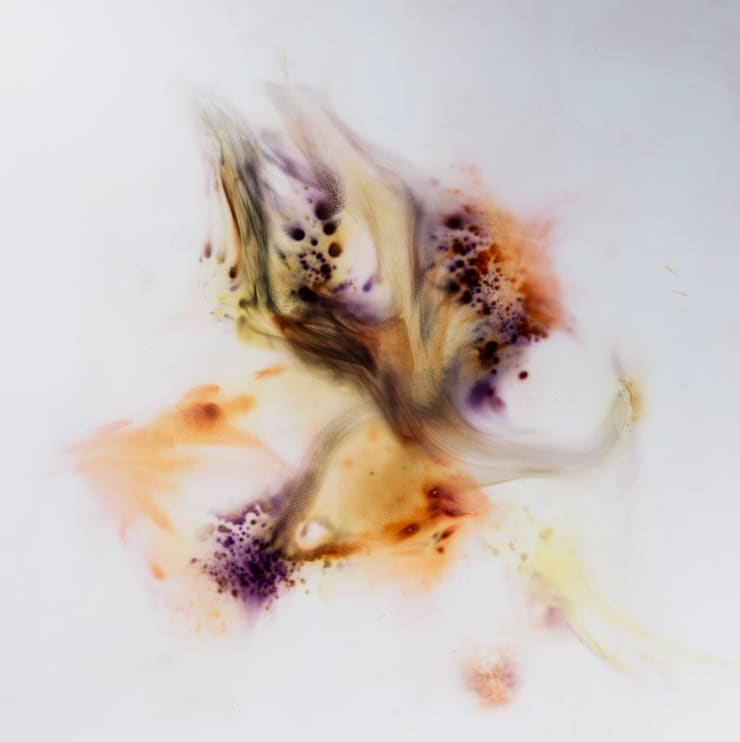 Dennis Lee Mitchell, Brief, 2025