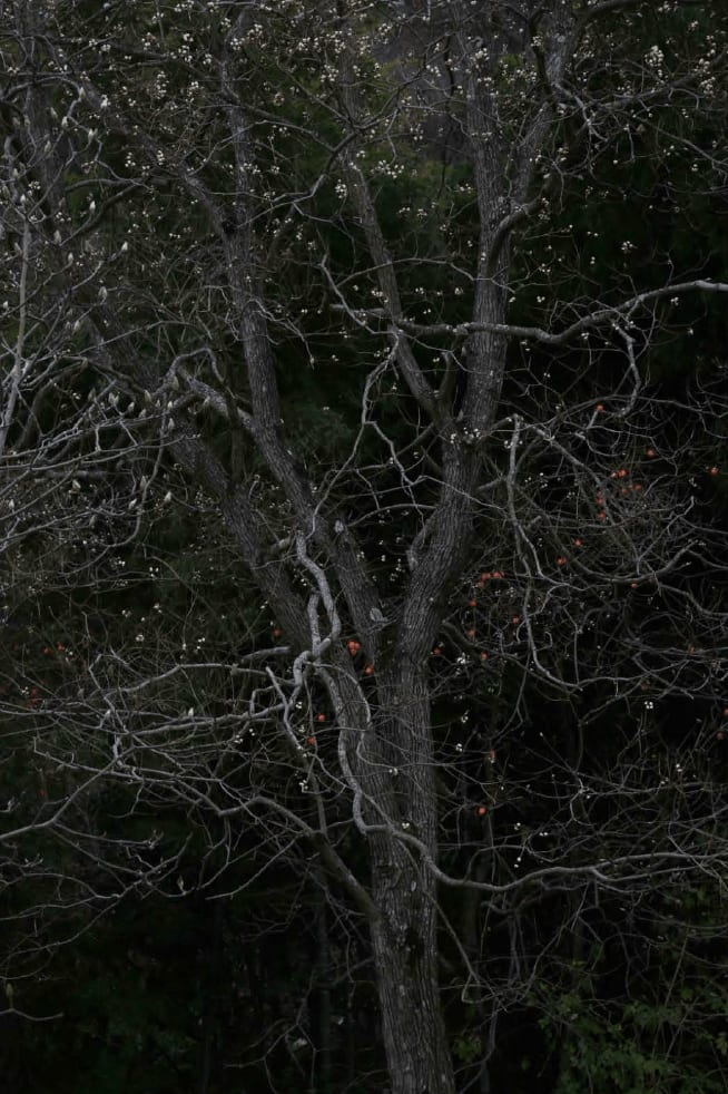 Mizu 23, edition 5/25, 2012 Inkjet pigment print 31 1/2 x 47 1/4 inches Framed dimensions 32 1/2 x 48 1/4 inches Available in Various Sizes