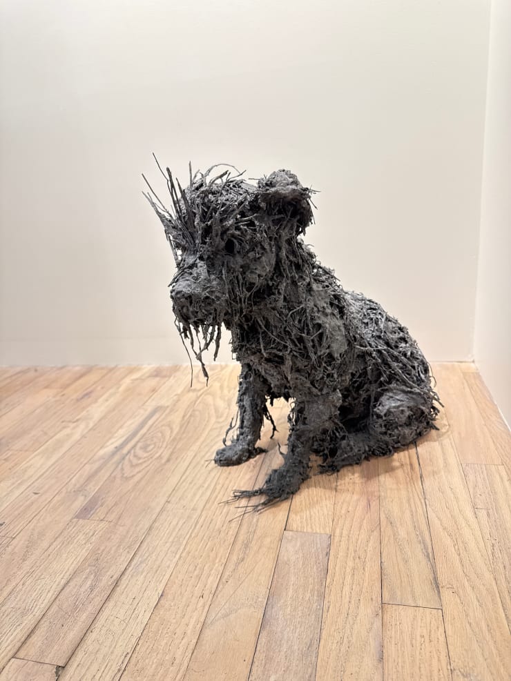 Nicola Hicks, Puppy with Eyebrows, ed. 3 of 6 , 2025