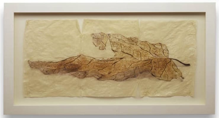 Doug and Mike Starn, Black Pulse 13, AP 1, 2000-2008