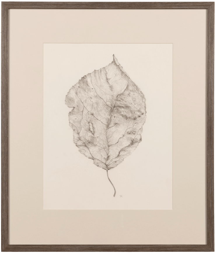 Drawing No. 2, 2021 Pencil on paper 16 3/4 x 13 inches