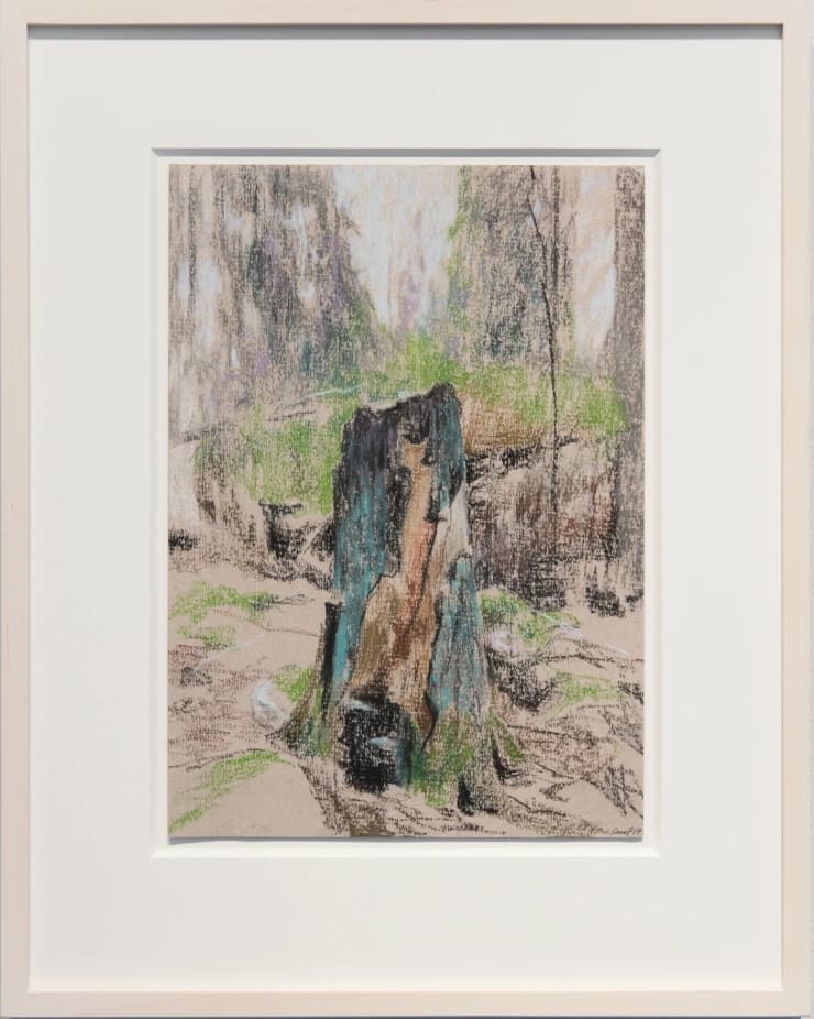 Lav / Lichen, 2017 Pastel on paper 11 5/8 x 8 1/4 inches Framed dimensions 21 x 17 inches