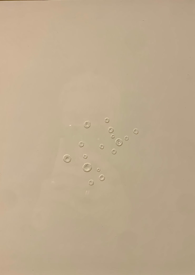 Xawery Wolski, The cells, 1997