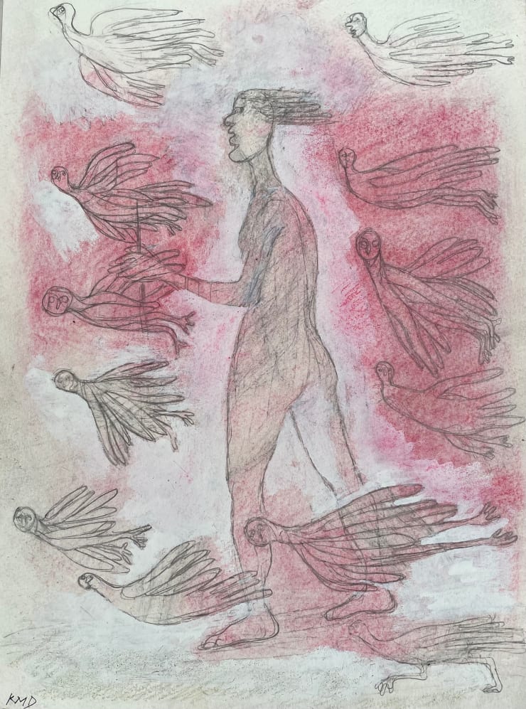 Bird Journey - Pink, 2022-2023 Pencil and chalk on paper 15 x 11 inches