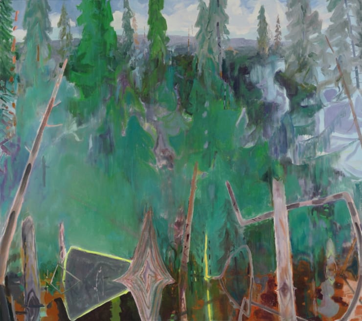 Eric Aho, Vernal Pool, Green Forest, (Oxford County), 2022