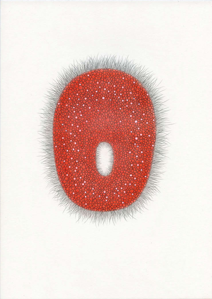 Astrid Köppe, Untitled (Z20_160), 2020