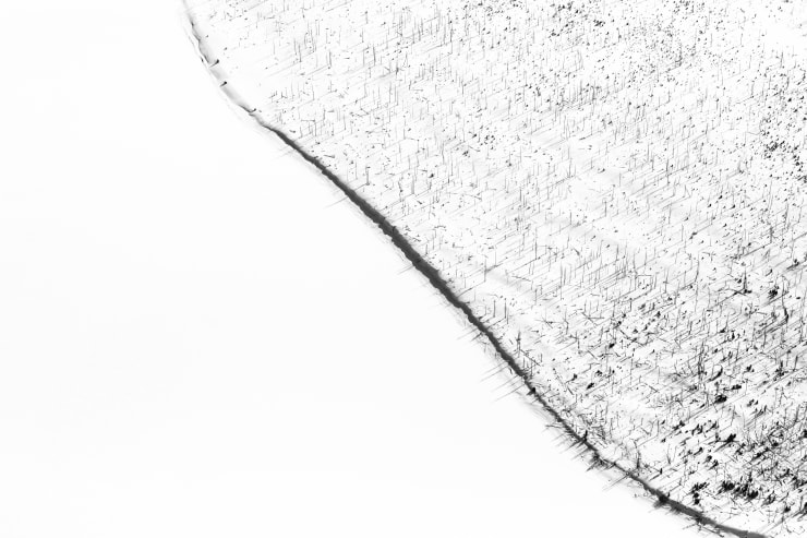 Tuck Fauntleroy, Burn X, 2020-2022