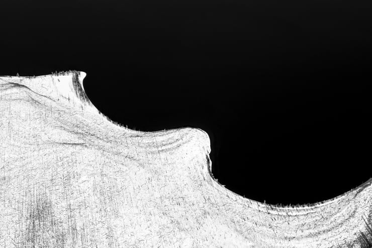 Burn IX, 2020-2022 Archival pigment print Edition of 11 | 20 x 30 inches Edition of 9 | 26 1/2 x 40 inches Edition of 9 | 40 x 60 inches Edition of 3 | 53 1/3 x 80 inches