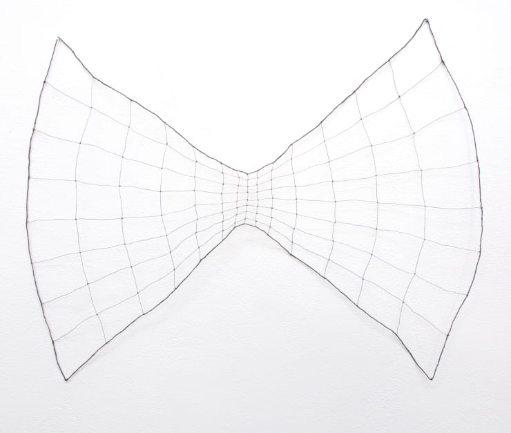 Echo 2, 2020 Wire 19 1/2 x 15 x 1 inches