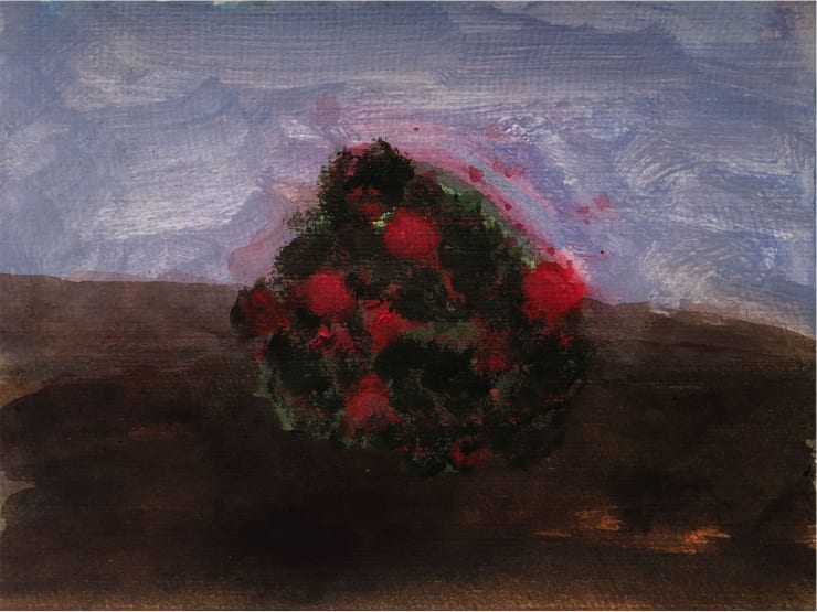Kathryn Lynch, Red Flowers on Bush, 2019