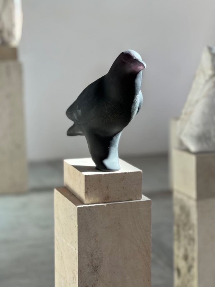 Jane Rosen, Posted Raven, 2023