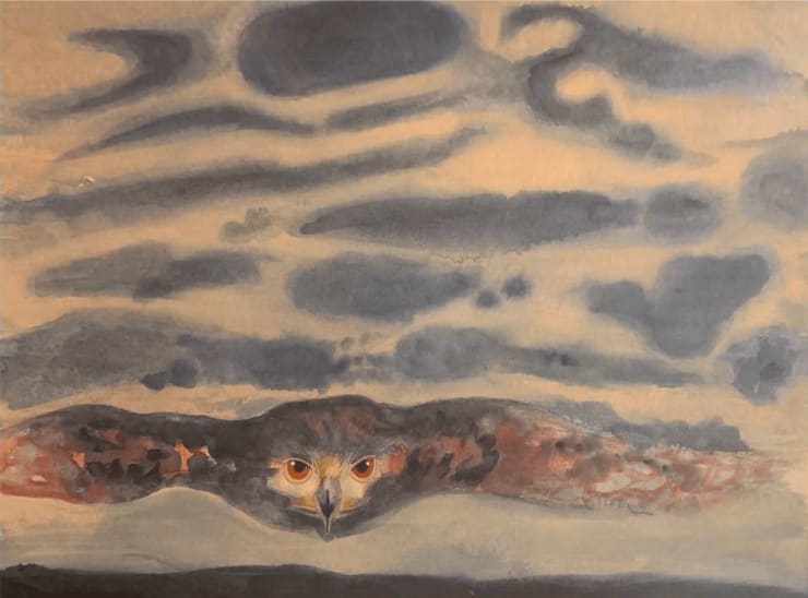 Hawk, 2020 Water and gouache on paper 12 x 16 inches Framed dimensions 15 x 18 1/2 inches