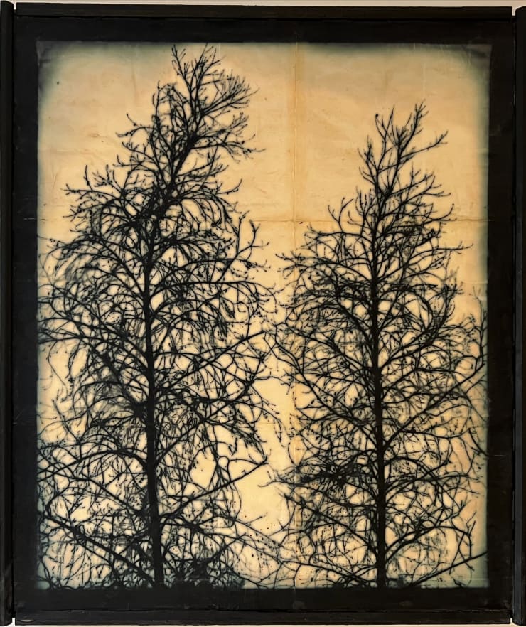 Doug and Mike Starn, Blot Out the Sun #5, AP 1, 1998-1999