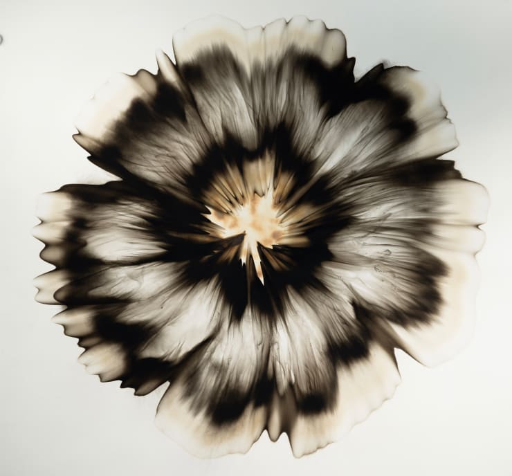 Dennis Lee Mitchell, Fruita, 2025