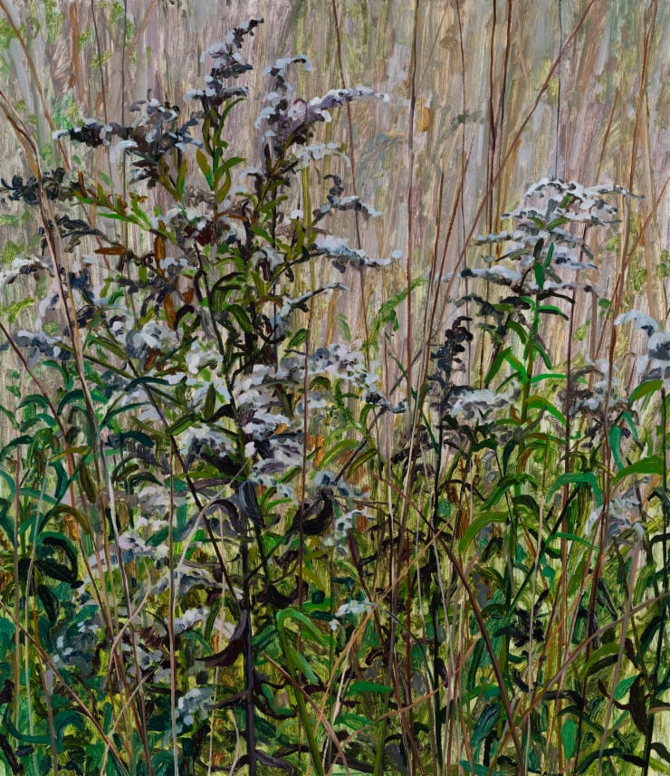 Wildflowers, 2024 Oil on canvas 30 x 26 inches