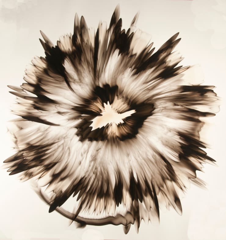 Dennis Lee Mitchell, Untitled Carcas #2, 2020