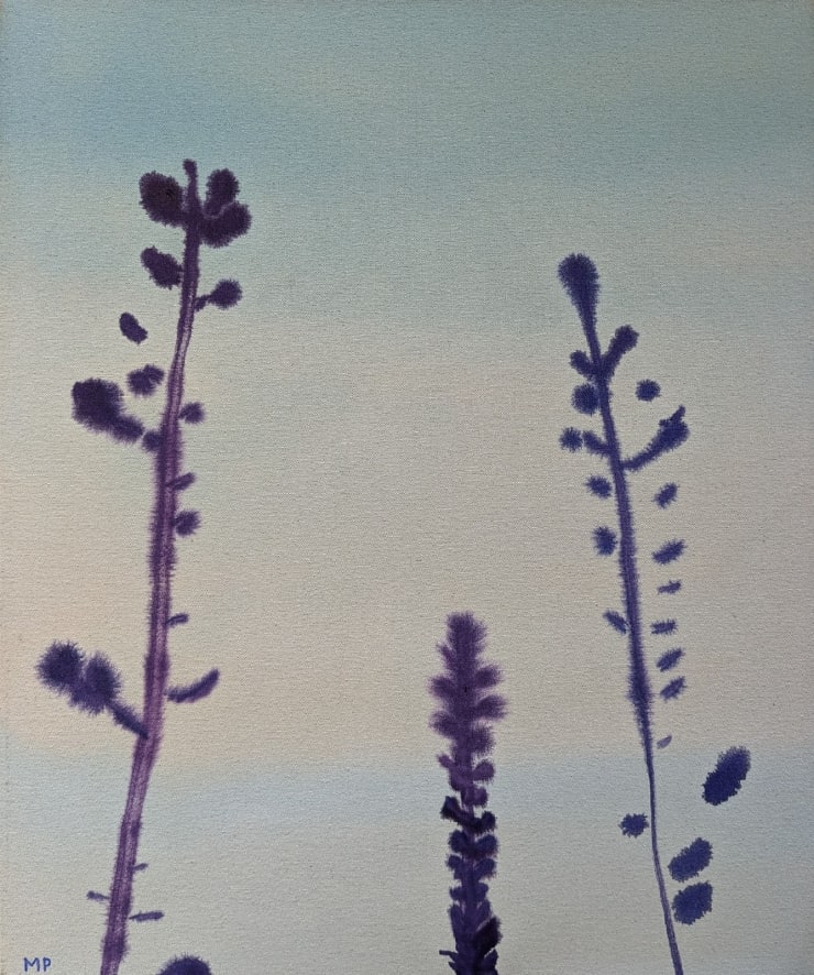 Lodgepole, 2021 Oil on canvas 24 x 20 inches