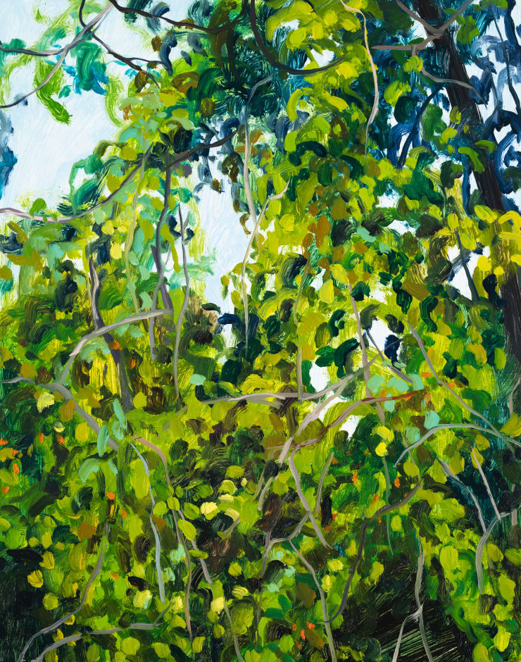 Claire Sherman, Trees and Vines, 2022