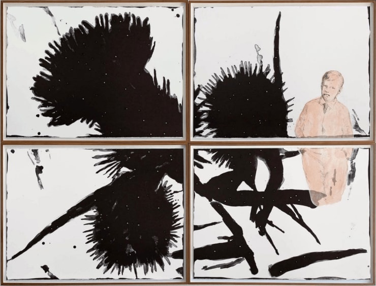 Enrique Martínez Celaya, The Thistle Song, 2014