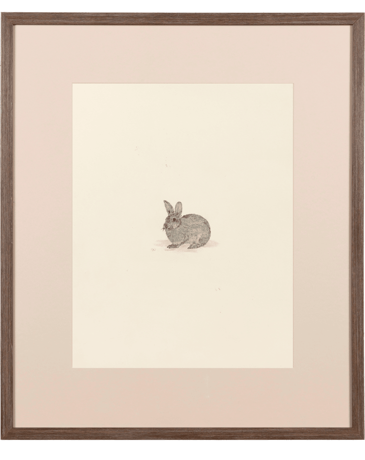 Untitled Pencil on paper 18 x 14 inches Framed dimensions 25 1/2 x 21 3/4 inches