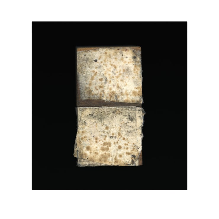 Richard Fleischner, Untitled #855, ed. 1/8, 2021