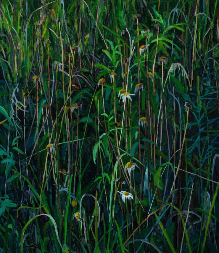 Wildflowers, 2025 Oil on canvas 30 x 26 inches
