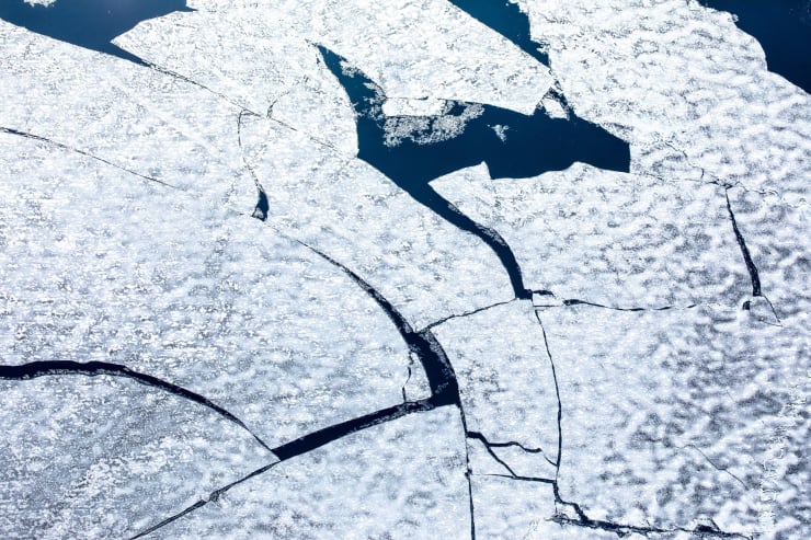 Elements Spring IV, 2023-2024 Archival pigment print Edition of 11 | 20 x 30 inches Edition of 9 | 26 1/2 x 40 inches Edition of 9 | 40 x 60 inches Edition of 3 | 53 1/3 x 80 inches