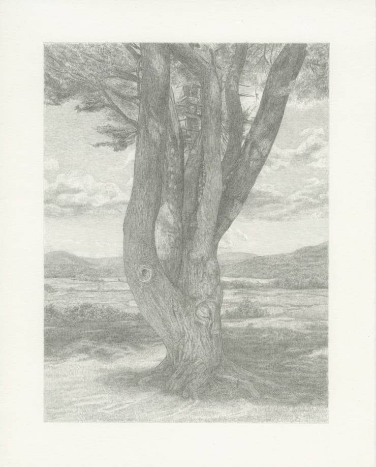 Rob Matthews, World Without Noise, 2024