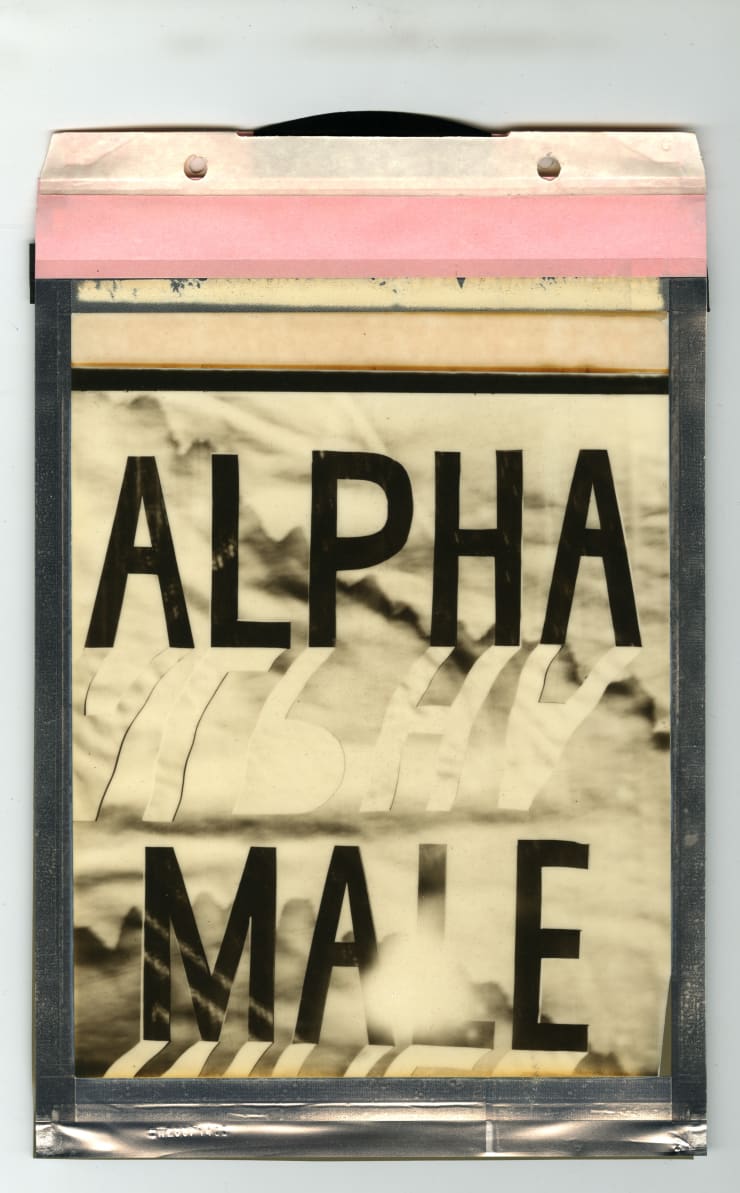 Corey Escoto, Alpha Male, 2015