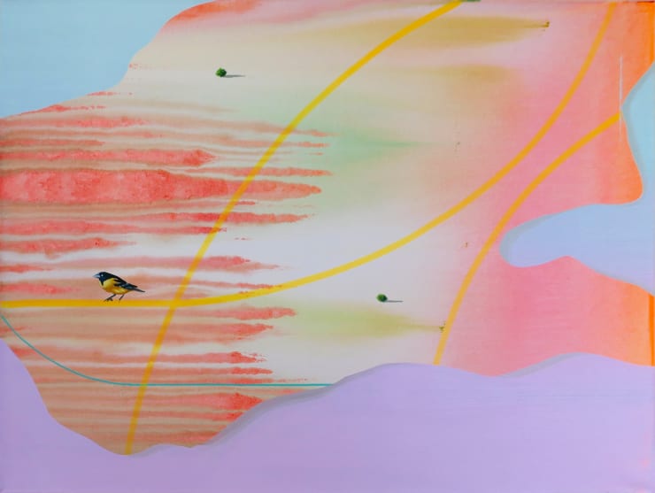 Béchir Boussandel, Bird, 2021