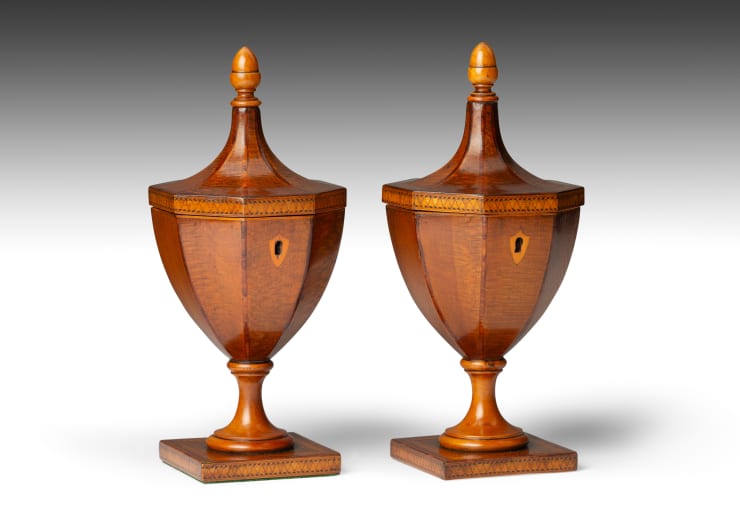 Pair of George III Neoclassical Tea Caddies