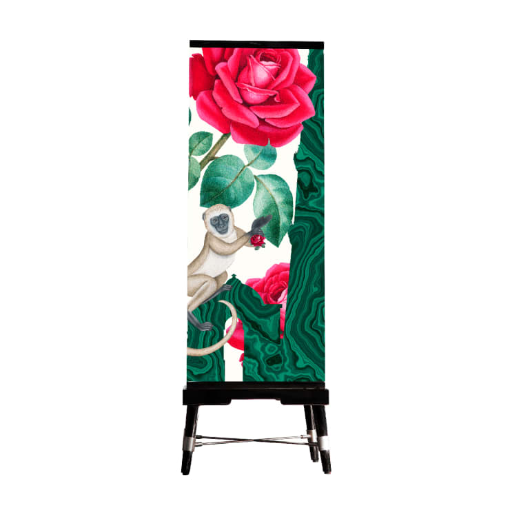 Casa Paradox, DILLII: Dilli Tall Boy