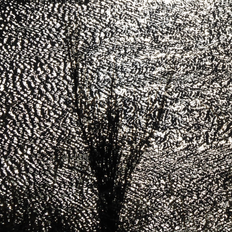 Kim Pieters, Untitled 1A, 2021